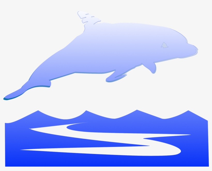 Dolphin, transparent png download