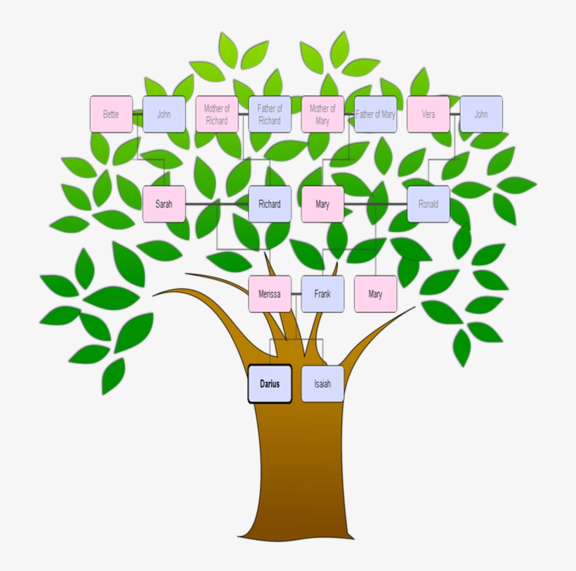 Create A Family Tree Achievement Unlocked By Merissa - Tree Clipart Transparent Background, transparent png download
