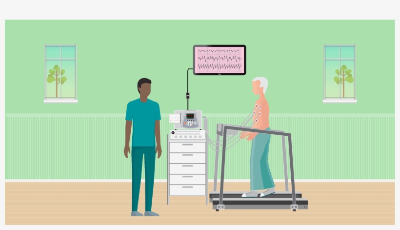 01563546 Im Cr Blog Images Final Artboard - Cardiac Stress Test, transparent png download