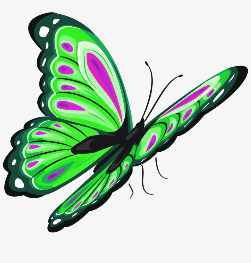 Green And Pink Butterfly Png Clipart Picture - Butterfly Png, transparent png download