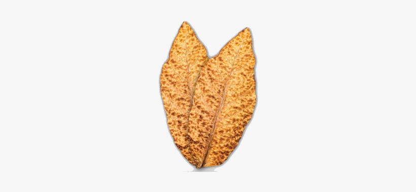 Tobacco Leaf Products - Sopariwala Exports, transparent png download