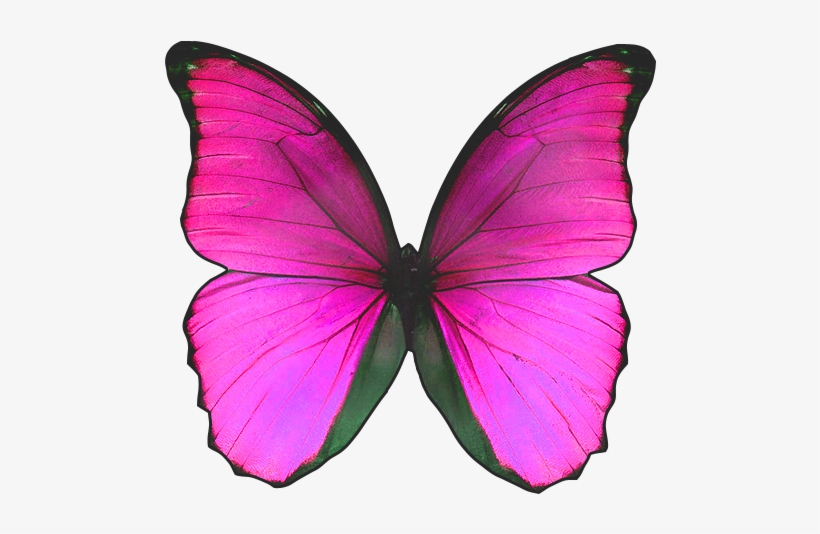 Visit - Blue Butterfly With No Background, transparent png download