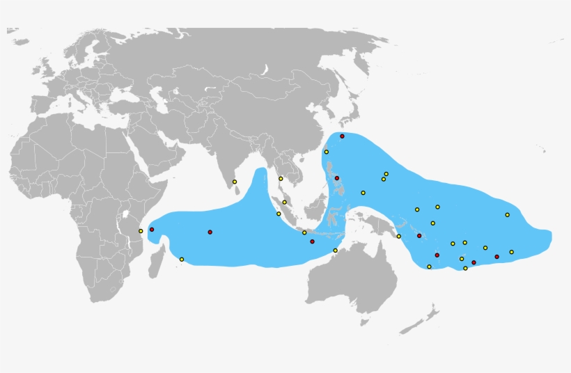 Blobfish - Black Sea Bass Range, transparent png download