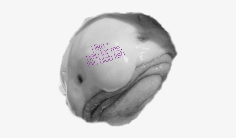 Blob Fish Im Ugly Like Instagram Aesthetic - Does Ted Cruz Look Like, transparent png download