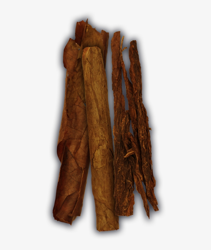 Umbrella, transparent png download