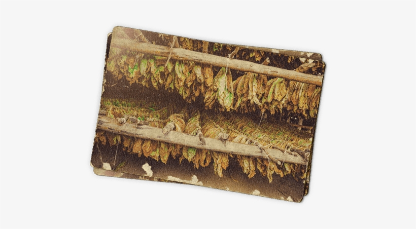 Naturally Extracted - Electronic Cigarette Aerosol And Liquid, transparent png download