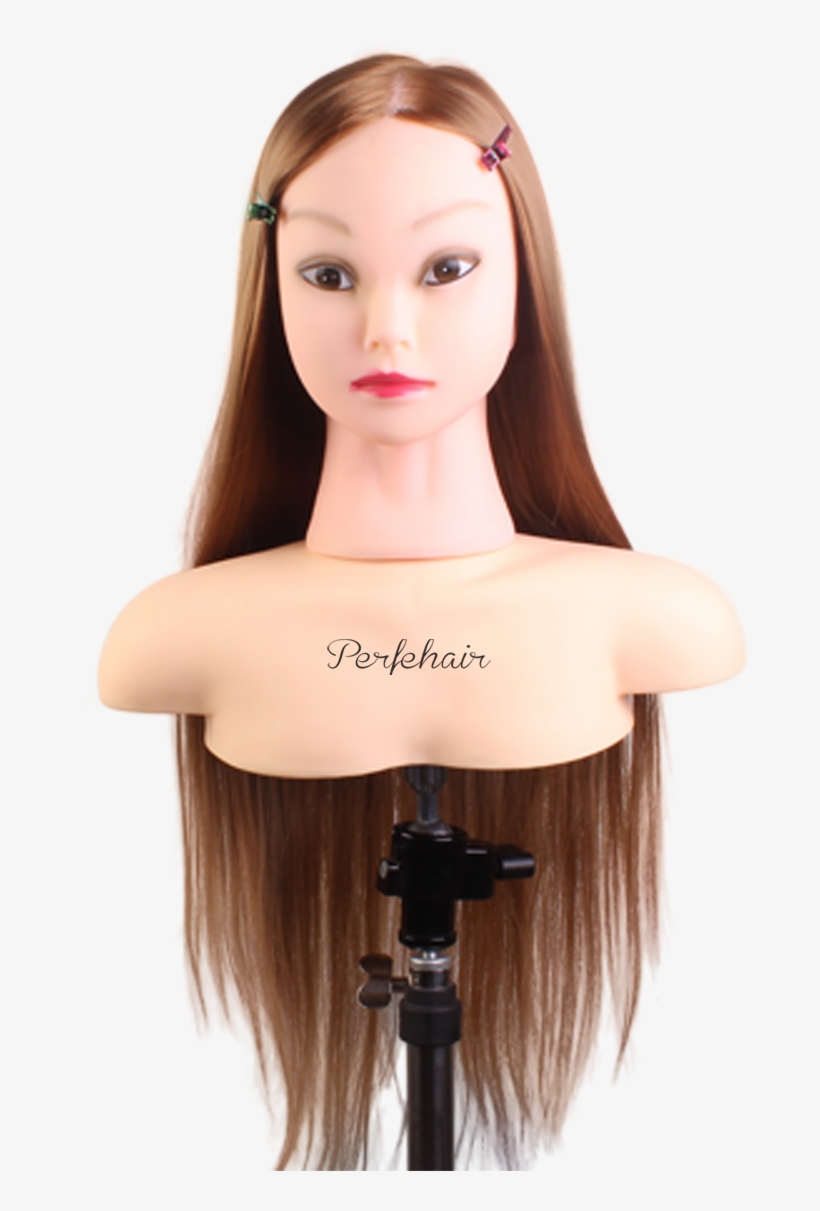 Perfehair 24" Cosmetology Mannequin Head - Mannequin, transparent png download