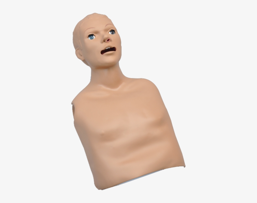Fully Articulating Head - Cpr Dummies, transparent png download