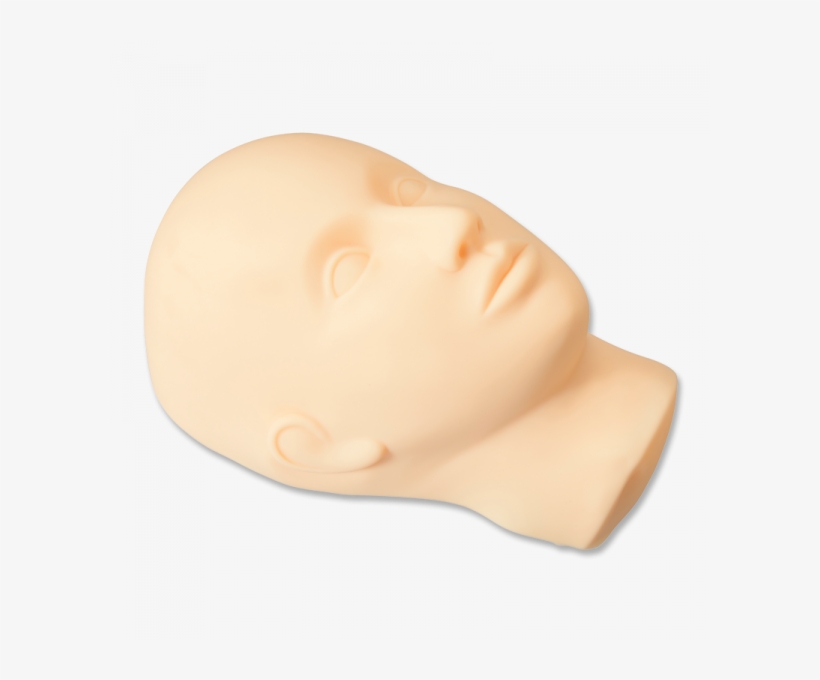 Practice Head - Sculpture, transparent png download