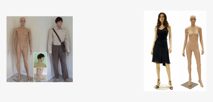 Mannequins Have Arms, Legs And A Head, That Is Detachable - Mannequins With Clothes Png, transparent png download