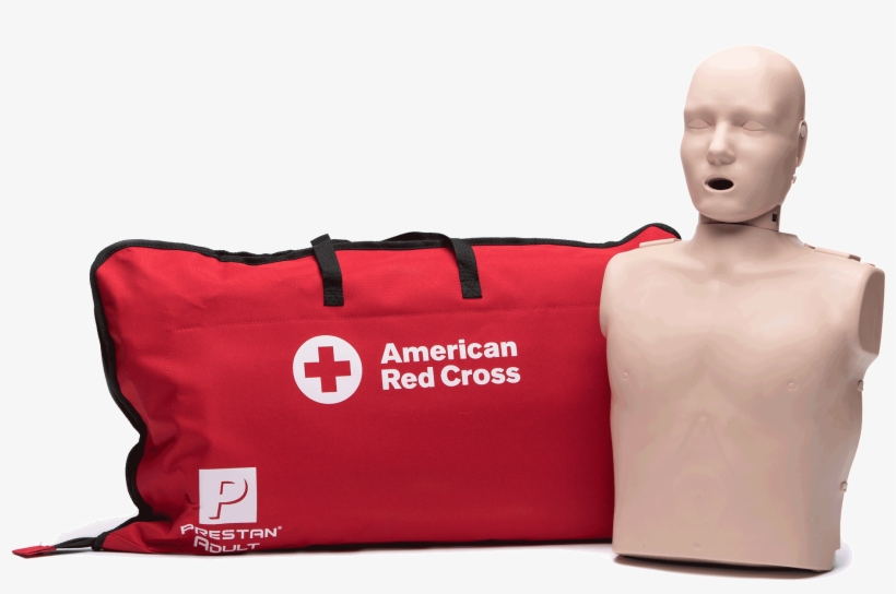 Medium Skin Adult Manikin With Cpr Monitor - American Red Cross Medium Skin Adult Manikin (, transparent png download