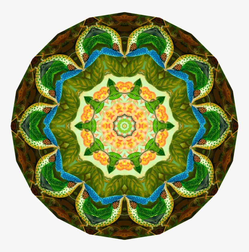 Hummingbirds In Nature Composition Notebook - Composition Journal Bird Illustrations: Student Notebook;, transparent png download