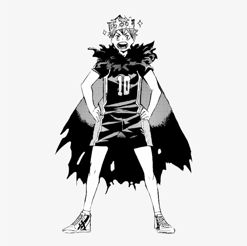 Hinata Shouyou Crow King, transparent png download