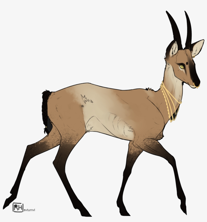 My Darling, Your Amnesia Consumes You - Deer, transparent png download