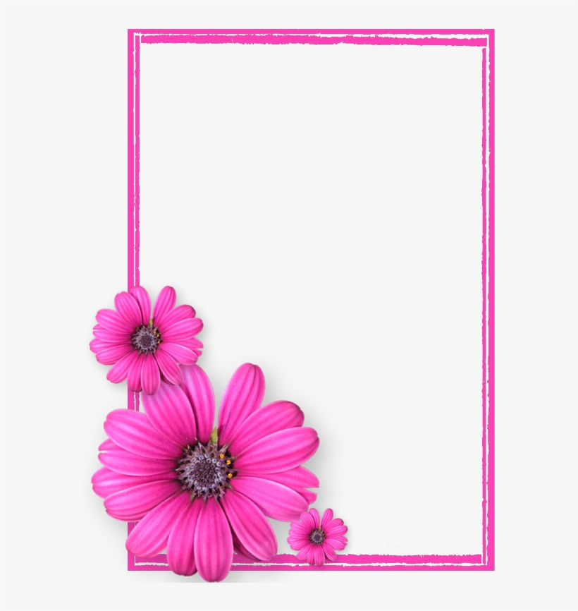 Pink Flower Frame Png Photos8 - Pink Flower Frame Png, transparent png download