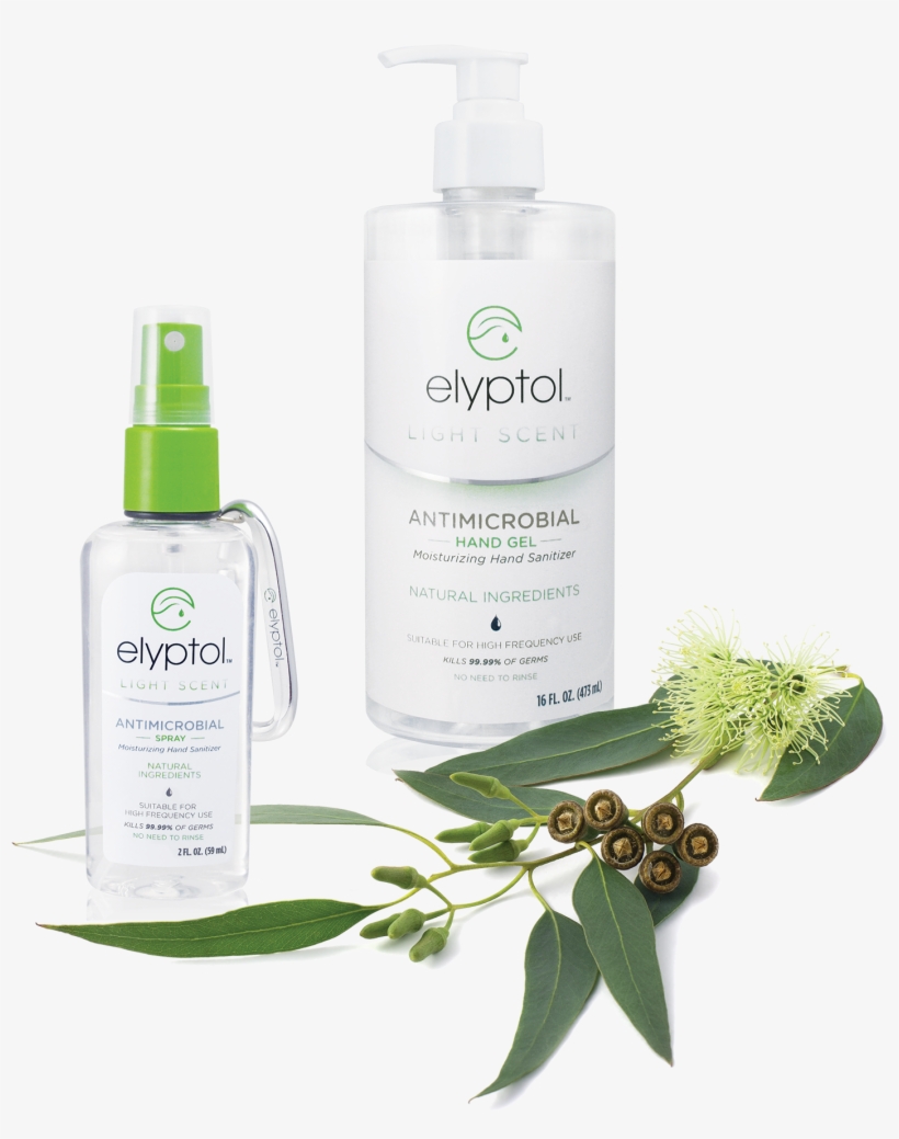*available As Elyptol Hand Sanitizer Wipe Or Elyptol - Eucalyptus Globulus, transparent png download