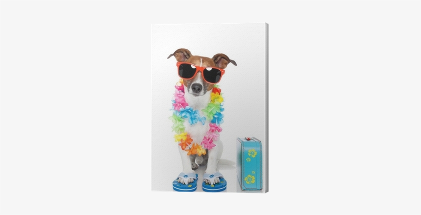 Dog As Tourist With Hawaiian Lei Canvas Print • Pixers® - Hawaiian Dog, transparent png download