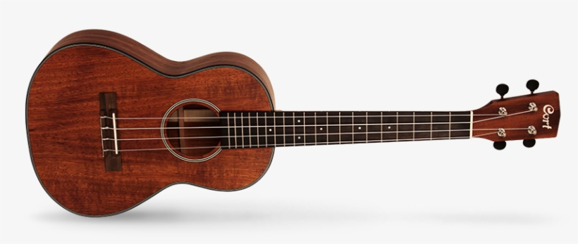 Majesty Ernie Ball, transparent png download