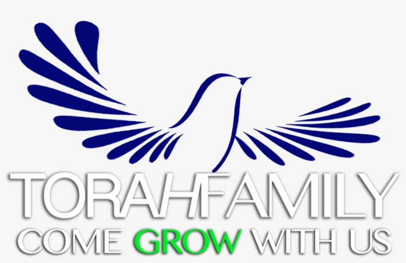 Tf1 - Torah, transparent png download