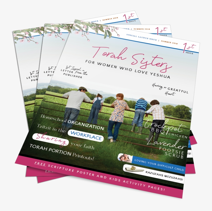 Torah Sisters Is Now Available As A Hard Copy - Torah, transparent png download