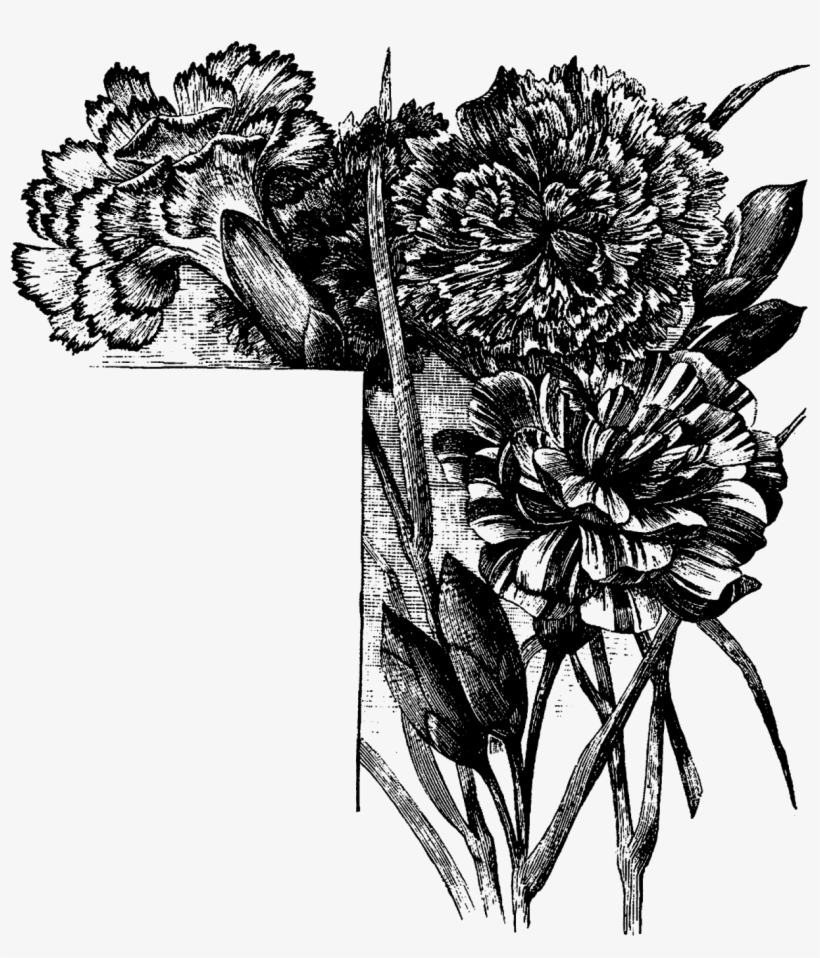 Digital Flower Corner Design Downloads - Flowers Corner Black And White Png, transparent png download