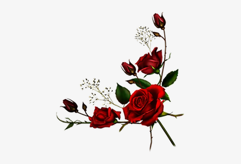 Red Rose Anime / Red Rose A Manga Drawing Art And Drawing On Cut Out