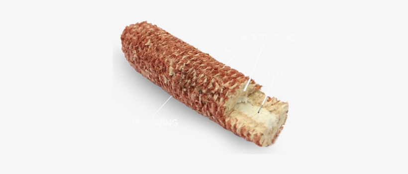 Corn Cob With Breakdown - Corncob, transparent png download