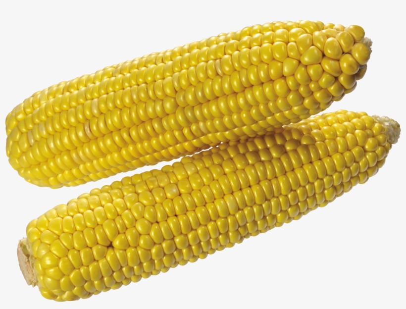 Free Png Corn Png Images Transparent - Corn Transparent Background, transparent png download