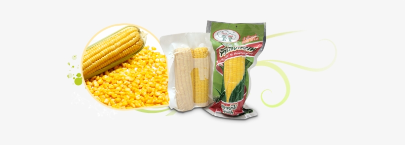 Sweet Corn On The Cob In Vacuum Packed - Packed Corn, transparent png download