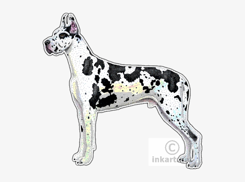Great Dane Decal - Great Dane Rectangle Magnet, transparent png download