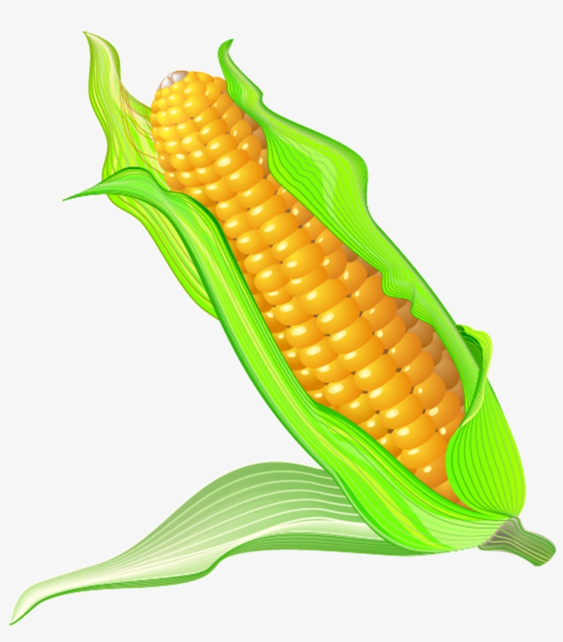 On The Cob Cartoon Transprent Png Free - Cartoon Corn On The Cob, transparent png download