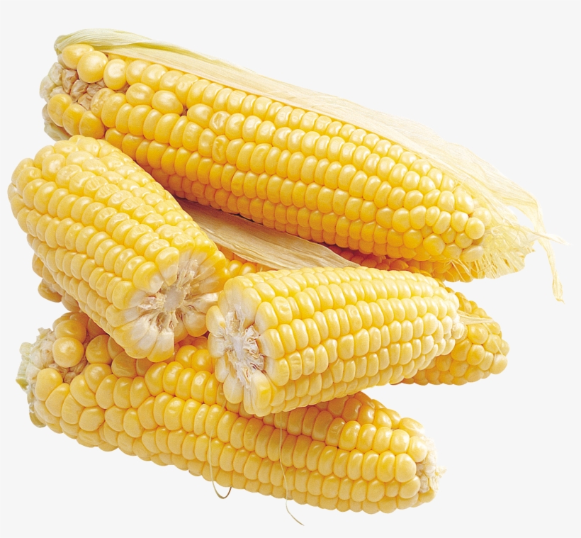 Corn Transparent Png Sticker - Кукуруза Пнг, transparent png download