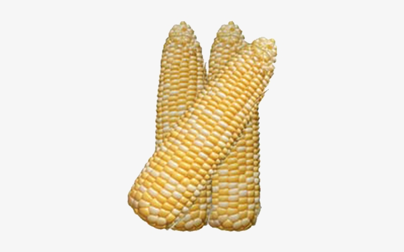 Commercial - Genetics, transparent png download