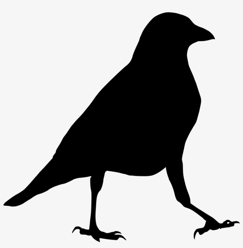 Download Png - Common Raven, transparent png download