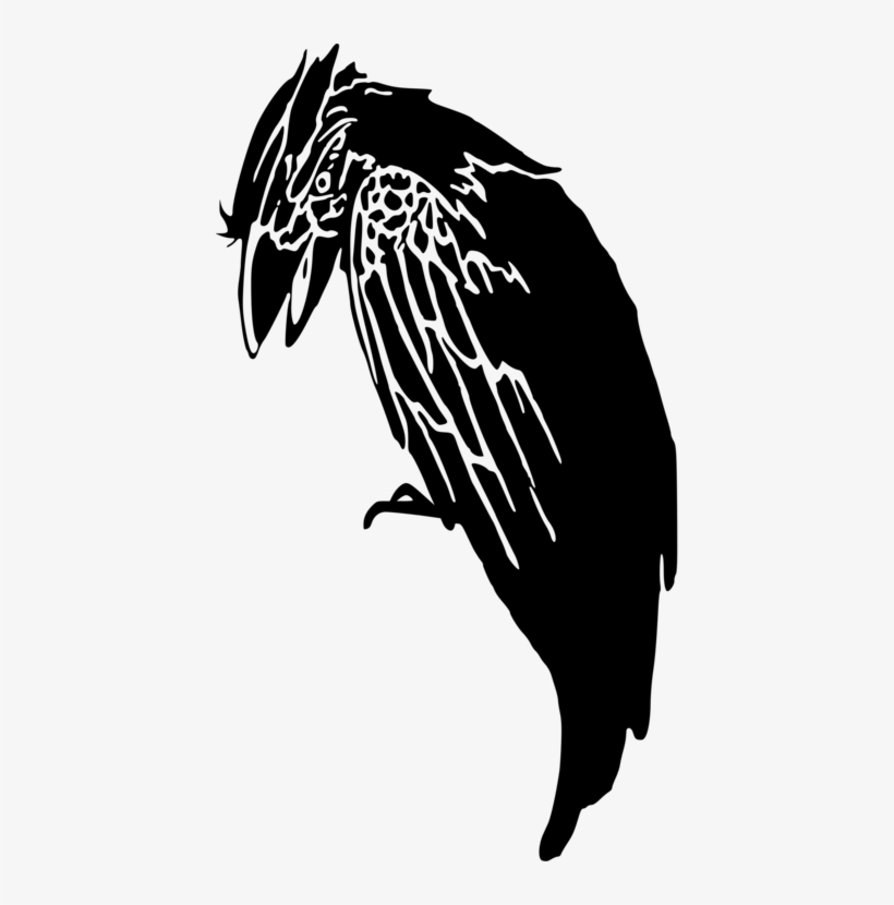 Crow Macaw Common Raven Drawing Silhouette - Crow Silhouette, transparent png download