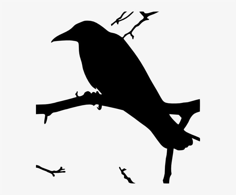 Raven Silhouette Png For Kids - Raven Clipart Public Domain, transparent png download
