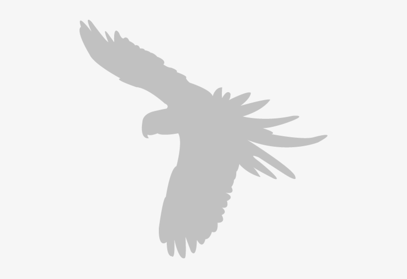 If You Would Like To Post Information About A Job, - Grey Bird Png, transparent png download