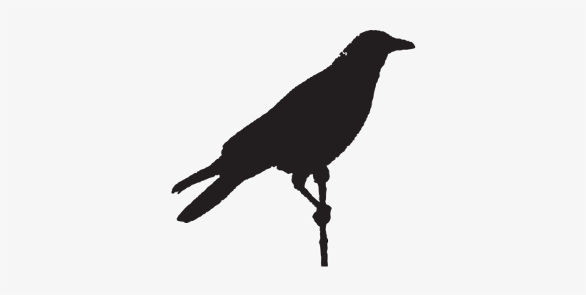 Sedona Is Known As A Place Of Art, Mystery, Spirituality, - Portable Network Graphics, transparent png download