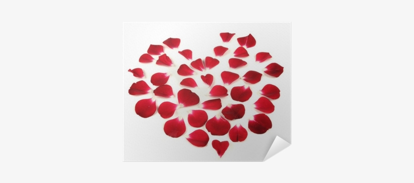 Rosa Del Benessere, transparent png download