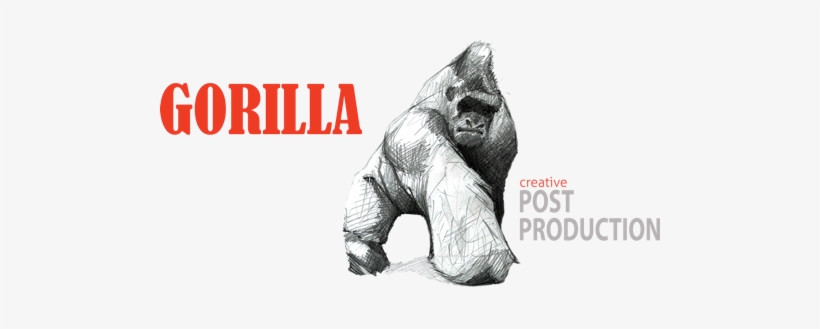 Gorilla Post - Gorilla Sketch, transparent png download