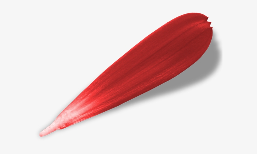 Red Flower Petals - Flower, transparent png download