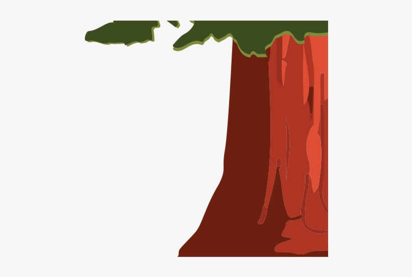 2018 Eureka-humboldt Visitors Bureau - Redwood Tree Cartoon, transparent png download