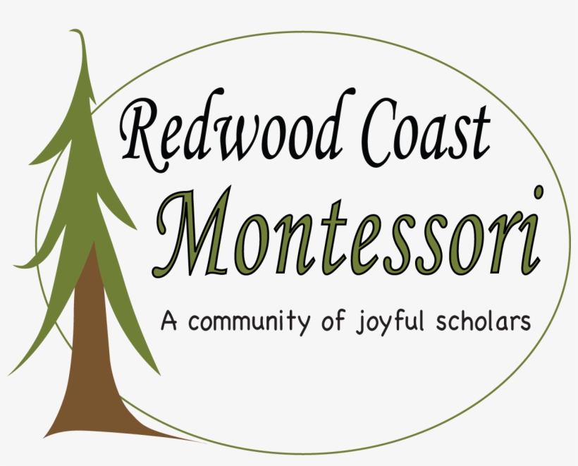 The Mission Of Redwood Coast Montessori Is To Serve - Redwood National And State Parks, transparent png download