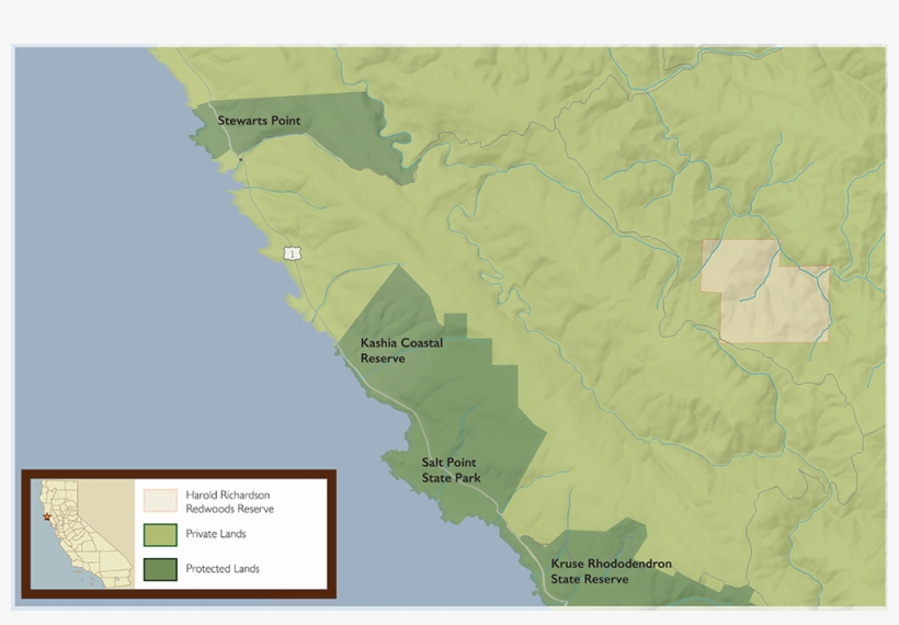 The Small Group Assembled Next To A Rural Two Lane - Harold Richardson Redwoods Preserve, transparent png download