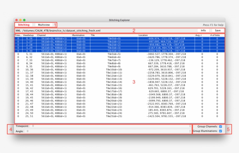Bigstitcher Overview 1 - Portable Network Graphics, transparent png download