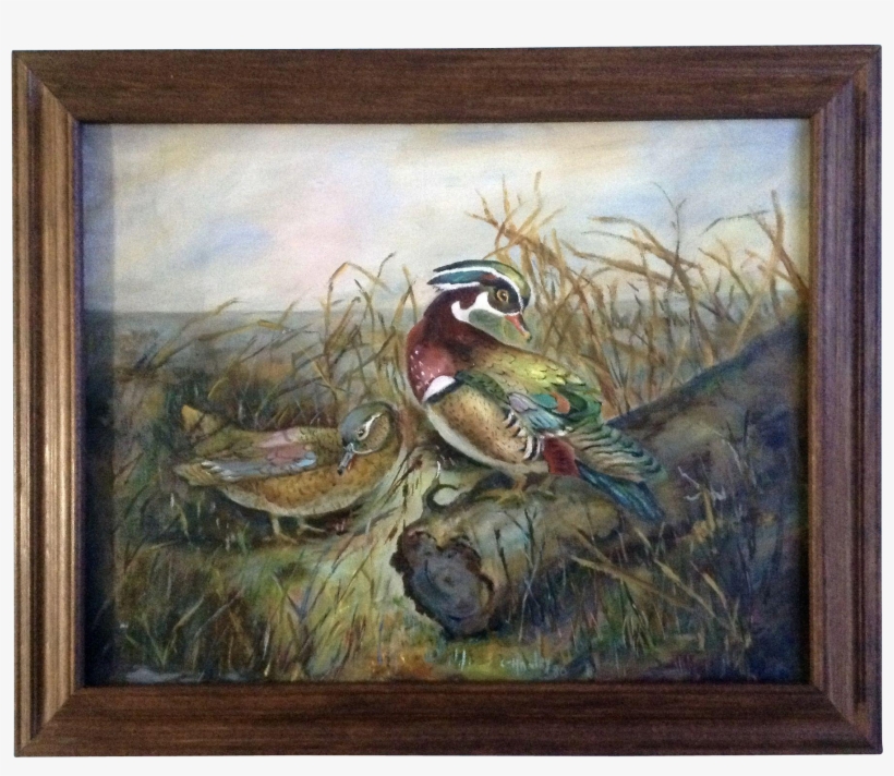 Gertie Mae Hanley , Wood Ducks At The Edge Of The Marsh - Picture Frame, transparent png download