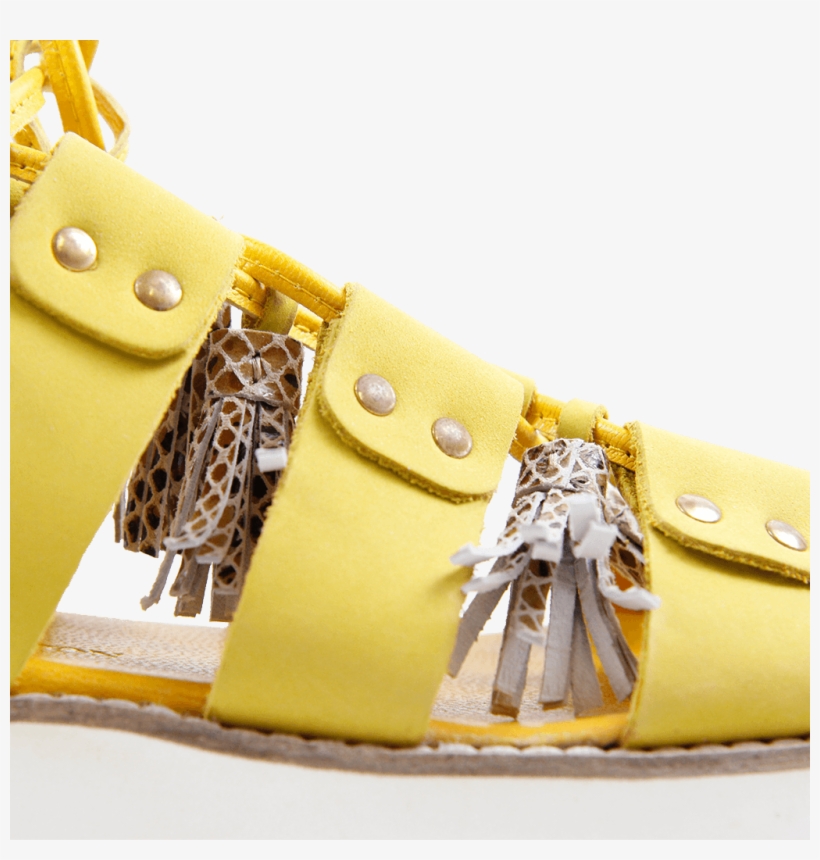 Sandals Celia 20 Nubuk Golden Glow Tassel Snake Dagget - Sandalen Melvin & Hamilton Celia 20 Nubuk Golden, transparent png download