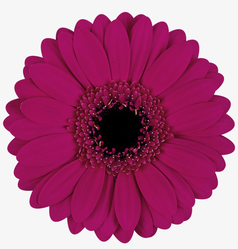 High Resolution Image, Download File - Paper, transparent png download