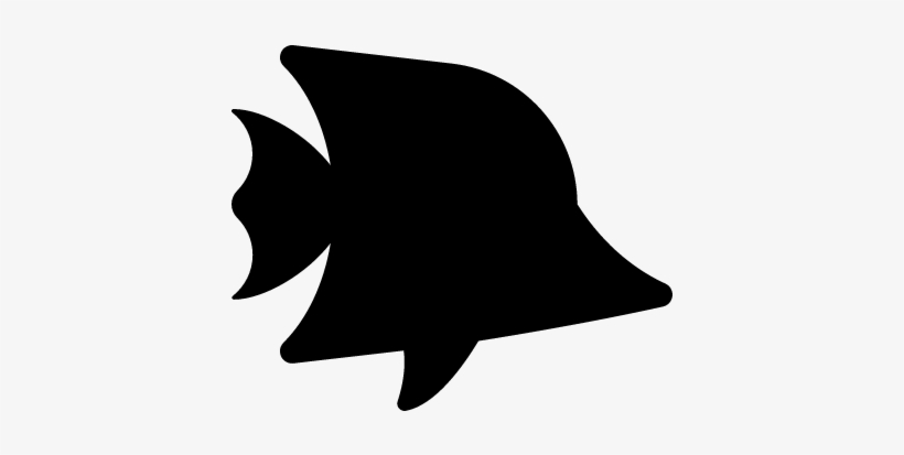 Tropical Fish Vector - Tropical Fish Icon, transparent png download