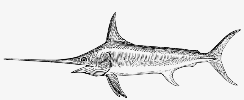 How To Set Use Sword Fish Clipart, transparent png download